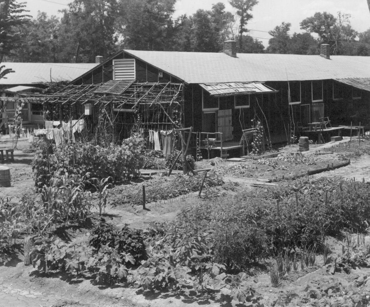 Rohwer Vegetable Garden